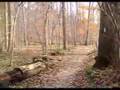 mtn biking at mckeldin