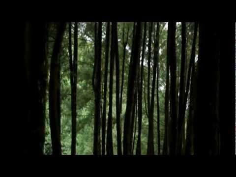 Wisata Air Terjun Cibadak, Bogor « eddsonarantes