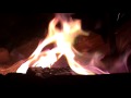 OUTDOOR SEX EDUCATION III - THE MARRIAGE UNION