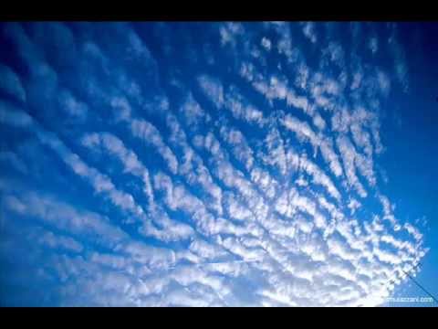 مترجمه الى العربيه