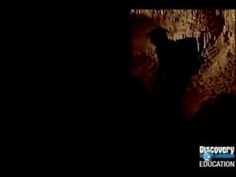 The Cask of Amontillado (Atomic Version)