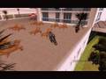 videos de Instinct - NyZe Grab Solo.