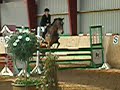 Loke spring st�vne