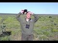 Bell Ranch Pronghorn Antelope Hunt