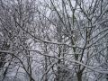 snow