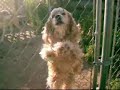TV FOR STONERS!.wmv TV FOR STONERS!.wmv