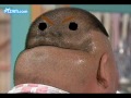 Funny Pictures Funny Pictures