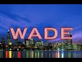5x2 dwayne wade party