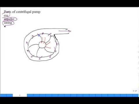 how to draw npsh curve