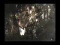 jauregui videominuto