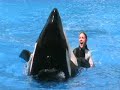 Seaworld Kostense