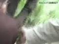 Perils of Mountain Gorilla Watching, Congo