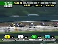2008 Jockey Club Gold Cup (GI) - CURLIN 2008 Jockey Club Gold Cup (GI) - CURLIN
