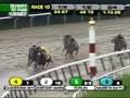 2008 Jockey Club Gold Cup (GI) - CURLIN
