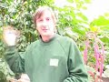 Bristol Zoo Gardens Animal Count 2009 Bristol Zoo Gardens Animal Count 2009