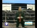 tornare all'improvviso senza il minimo preavviso nella testa c'è l'immagine di leiiiiiiiiiiiii http://www.youtube.com/watch?v=GP9EUffy-1w