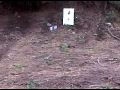 twain harte shooting trip (6).3GP