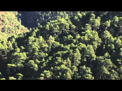 Biosphere Reserve