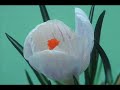 IRAJ, Golhaye 543 "Arefaneh" (Homayoon)