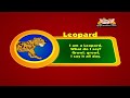 Animal Sounds in Hindi - Leopard