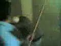jackassprova-del-casco.html