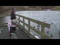 feeding ducks
