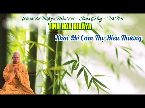 Tinh Hoa NIKAYA - Khai Mở Cảm Thọ Hiểu Thương