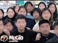 Mucao.com.br - Adventure - Mi XinGe - Filhote Coruja Mucao.com.br - Adventure - Mi XinGe - Filhote Coruja
