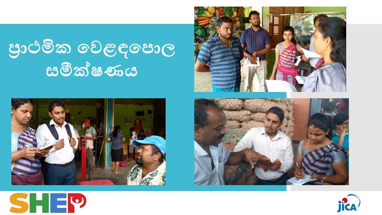 4 ප්‍රාථමික වෙළඳපොල සමීක්‍ෂණය - Preliminary Market Survey