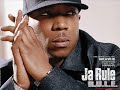 pit bull ja rule