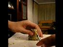 periquito dandole de comer