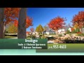 Indigo Apartments and Townhomes