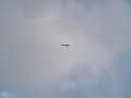 Zagi da Pra�a