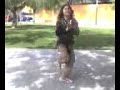 ni�o bailando flamenco