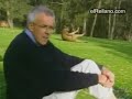 canguru punheta canguru punheta