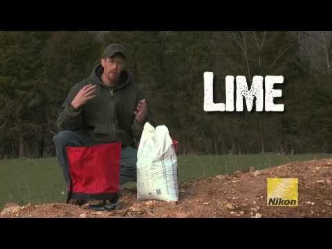 how to fertilize clover