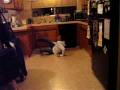 videos de Sliding