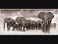 Dj Daniel Cast - Tribe in Africa (Original Mix)
