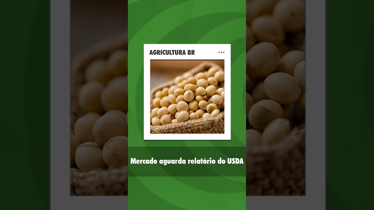 Soja opera em alta moderada antes de relatório do USDA