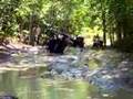 Arctic cat prowler flips over in the mud