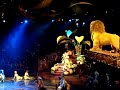 ?????????? HK Disneyland Festival of Lion King Part 1