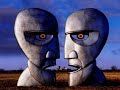 Pink Floyd - Coming Back To Life