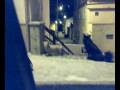 I cani di calciano.mp4