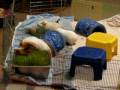 videos de Frick-Flora-Snow-02