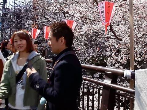 HANAMI/東京2010
