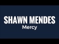 Shawn Mendes - Mercy (Lyrics)
