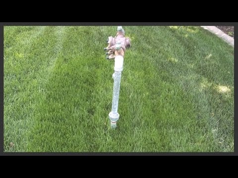 how to repair urine spots in lawn