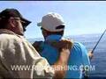 Shark Hunter