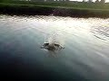 lg viewty 120fps video