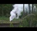 how to dissolve citric acid powder